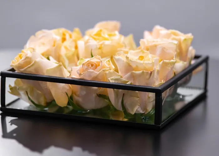 Dashaus 2 Bedroom Tallinn